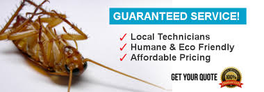 Regal pest management provides the westchester county area with reliable, effective insect and rodent extermination. Exterminator Quotes For Business Three Things To Consider When Choosing A Pest Control Company Dogtrainingobedienceschool Com