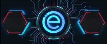 Image result for ecoinomic.net ico image