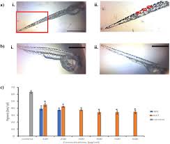 Find out what works well at rank alpha technologies sdn bhd from the people who know best. Mutated Shiitake Extracts Inhibit Melanin Producing Neural Crest Derived Cells In Zebrafish Embryo Sciencedirect