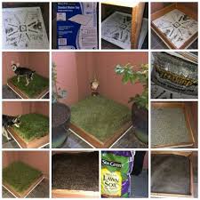 Diy Porch Potty All Materials Purchased At Lowes Total Cost 48 Started With Tray Made For Clothes Washer Frame Wa Diy Dog Stuff Porch Potty Dog Potty Area