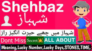 Shahbaz Name Meaning In Urdu Hindi Shahbaz Naam Ka Matlab Shahbaz Ke Mayne Youtube Names With Meaning Meant To Be Names