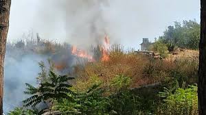 2 arresti 00:17 'merkel spiata dagli usa', il rapporto dei servizi danesi 00:05 zona bianca da oggi. Incendi Notizie Su Napolitoday