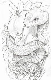 Black N Grey But The Apple Red Apple Tattoo Snake Art Snake Drawing