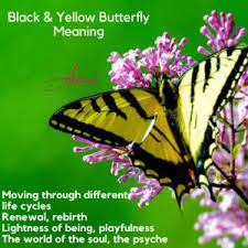 Green and yellow butterfly meaning. Yellow And Black Butterfly Meaning Spiritual Biblical Meaning