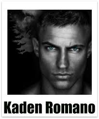 Shattered (THE INDEX)