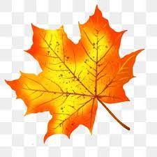 Autumn And Winter Maple Leaves Hand Drawn Plant Simple Autumn And Winter Maple Leaf Autumn Leaves Png Transparent Clipart Image And Psd File For Free Downloa Original Watercolors Maple Leaf How