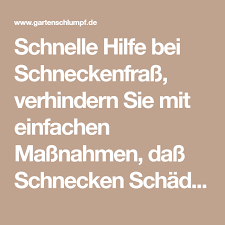 Schnecken Wirksam Bekampfen Schnecken Im Garten Schnecken Schneckenbekampfung
