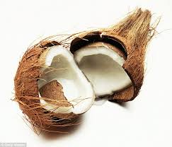 Image result for free images of coconuts and oil