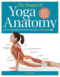 Anatomy of yoga poses pdf. The Student S Anatomy Of Yoga Manual Pdf Libribook