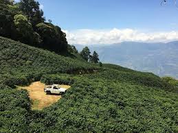 See traveler reviews, candid photos, and great deals for finca san cayetano at tripadvisor. Hotel Y Restaurante San Cayetano Guatemala