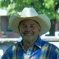 Wayne Melton Rice Obituary