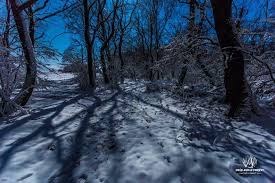 Am ramas peste noapte in padurea hoia baciu ▻vrei sa primesti 30 lei? Cluj PÄƒdurea Hoia Baciu CunoscutÄƒ Pentru Fenomenele Paranormale A CÄƒzut PradÄƒ TÄƒierilor De Copaci Dej24 Ro