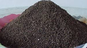 Natural soil conditioner enrich the soils in your garden with the coco garden coco peat. Anil Coco Peat Services Vermi Compost Vermicompost In Guntur