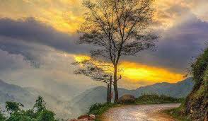 18.01.2022 · aplikasi edit foto lens distortions memberikan kepuasan yang sama untuk pembuat gambar pada pengguna seluler. Pemandangan Alam Updated Their Cover Photo Pemandangan Alam