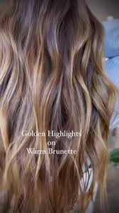Golden Highlights