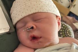 Fundraiser for Brad Gray by Amanda Rollo : Carter Gray's Surgery Fund