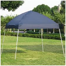 Wilson Fisher 8 X 8 To 10 X 10 Slant Leg Dome Pop Up Sun Shelter At Big Lots Patio Outdoor Patio Backyard Oasis