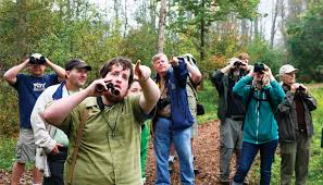 Birds of a Feather Flock Together