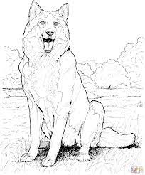 Filled with action and interesting adventures. Siberian Husky Coloring Pages Coloring Home