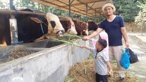 We did not find results for: Wisata Murah Meriah Di Tegal Asyik Buat Anak