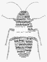 Black diamond termite and pest control inc. Pest Control Png Free Hd Pest Control Transparent Image Pngkit