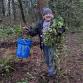 Ivy Removal at Behrens Woods Park with the City of Vancouver — Lower Columbia Nature Network
