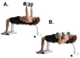 Dumbbell press supplements bench press by helping muscle imbalances, building the stabilizer muscles, and training the bottom part of the bench press because of not being able to bounce. Learn The Dumbbell Bench Press