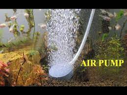 How To Make A Vortex Water Fountain At Home Youtube Aquarium Air Pump Pond Pumps Aquarium Pump