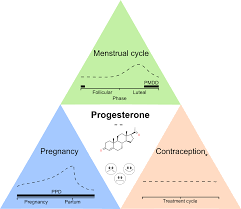 Image result for Pregnane Progestin
