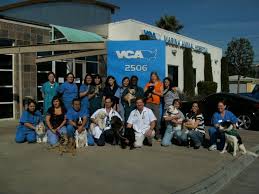 At vca marina bay cities animal hospital, we help pets live long, healthy and happy lives. Vca Marina Bay Cities Animal Hospital In Venice Ca 2506 Lincoln Blvd Store Hours Sale Reviews