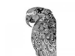 Disegni da stampare realizzati da una illustratrice professionista. 162 Disegni Di Animali Da Stampare E Colorare A Tutto Donna