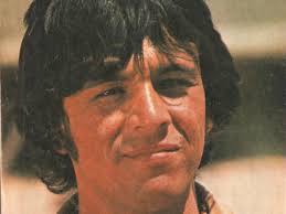 Por onde anda o elenco de 'Chaparral'?