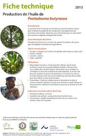 Image result for Pentadesma