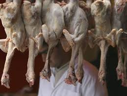 Crow/ all birds that eat beef only. Halal Meat What Is It And Why Is It So Controversial The Week Uk