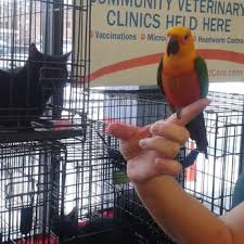 Purchase your pet supplies in bulk, or online. How Much Do Parakeets Cost At Pet Supplies Plus