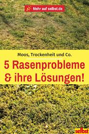 Rasenprobleme Selbst De In 2020 Rasenprobleme Unkraut Im Garten Rasen