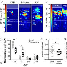 We did not find results for: Pdf Ontogeny Of The Vip Interneuron Sensory Motor Circuit Prior To Active Whisking