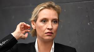 Hun ble sammen med alexander gauland , valgt som førstekandidat for sitt parti ved forbundsdagsvalget i 2017. Alice Weidel Liess Asylbewerberin Schwarz Fur Sich Arbeiten Br24