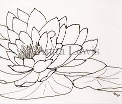Black And White Lily Pad Waterlily By Anita Lewis Original Art Ink Drawing 6 X6 Line Drawing Lilies Drawing Line Drawing Art Ink