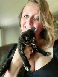 If you are looking for a cat or kitten to snuggle, please follow for  updates