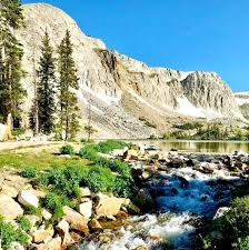 豆奶销售点 @soymilksalespoi - Twitter Profile | Sotwe