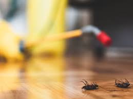 Located in the heart of league city, tx, mike's pest control has provided reliable, professional pest control services since 1977. Pest Control Services Lakeway Pest Control Rodent Exclusion And Termites