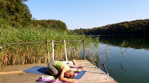 The main function of the large intestine is to receive the waste material sent down from the small. Yin Yoga For Autumn Liina Yoga
