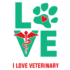 Reward him for graduation during quarantine, we have put together the best collection of graduation gifts for him! The Best 10 Graduation Gifts For Veterinary Students 2021 I Love Veterinary