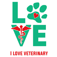 Salary, responsibilities & job description </u> found the articles, information, and resources on this page helpful. The Best 10 Graduation Gifts For Veterinary Students 2021 I Love Veterinary