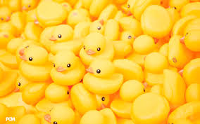 If you're looking for the best rubber ducky wallpaper then wallpapertag is the place to be. Rubber Duck Wallpapers Top Free Rubber Duck Backgrounds Wallpaperaccess