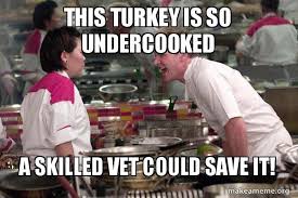 Gordon ramsay prepares gravy for his christmas turkey. This Turkey Is So Undercooked A Skilled Vet Could Save It Gordon Ramsay Make A Meme