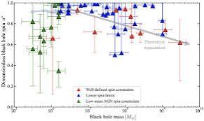 Spin Demographics of Active Supermassive Black Holes: Updated Estimates from X-Ray Reflection and Future Opportunities