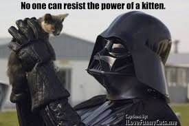 The Force Is Strong With This One Purrrrrrrfect For The Dark Side And He S Pure Evil Darth Vader Cat Darth Vader Funny Cat Memes