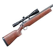 Image result for Black 1990 US Government